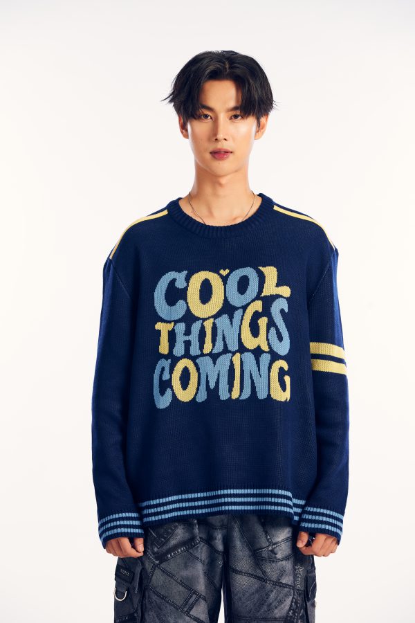 FREEZER COOLER JEAB | Cool Things Coming Sweater